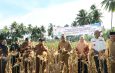 Pemkab Madina Salurkan Bantuan Bibit Jagung Hibrida dari Kementan